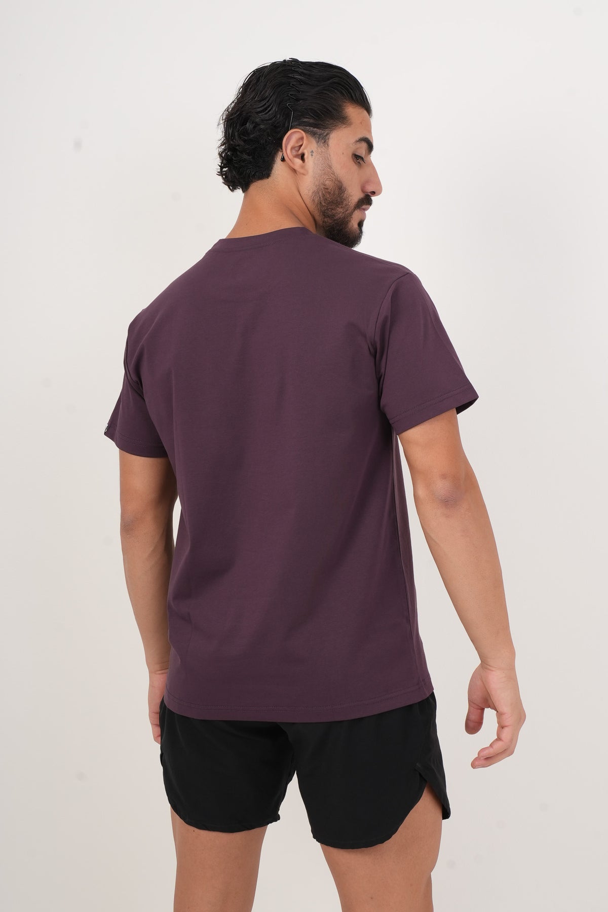 Men's VAN MILE Basic T-Shirt in Aubergine – back view