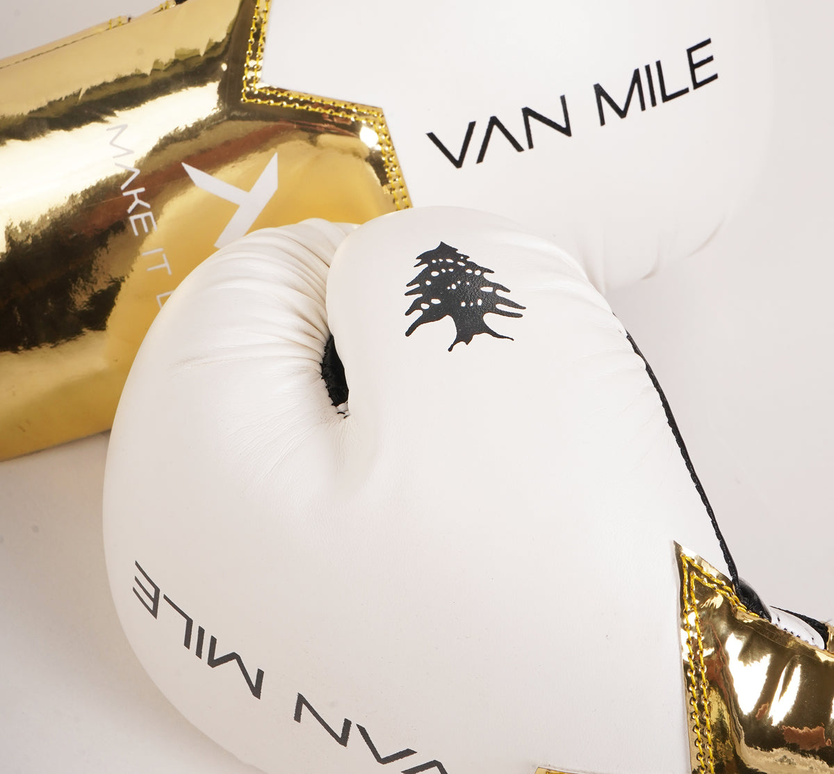 VAN MILE PU 3.0 Boxing Gloves in White & Gold – logo detail