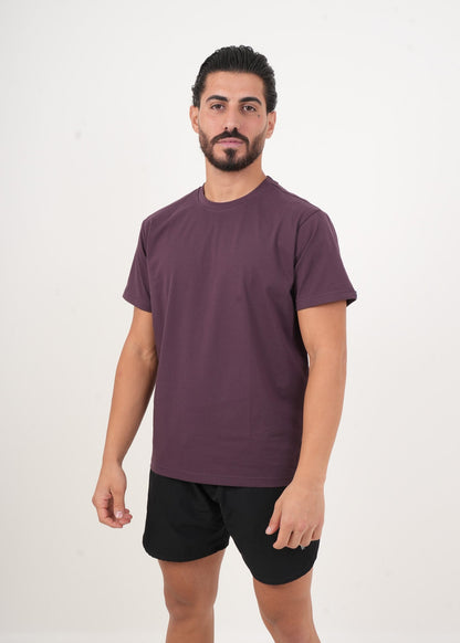 Men's VAN MILE Basic T-Shirt in Aubergine – front view